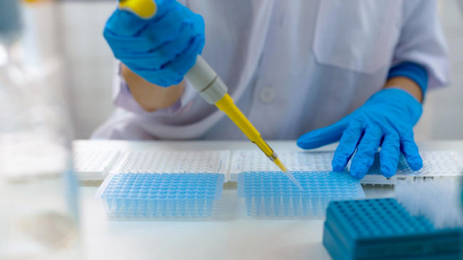 Enzyme and efficiency test devices